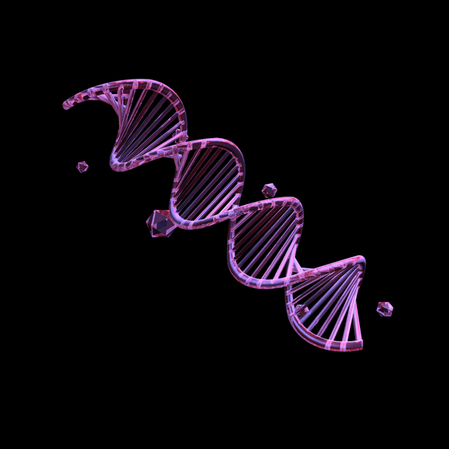 THE MOLECULAR INTERSECTION OF DIABETES AND SKIN RESILIENCE